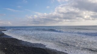    Элина Болдырева Юлия Виноградова