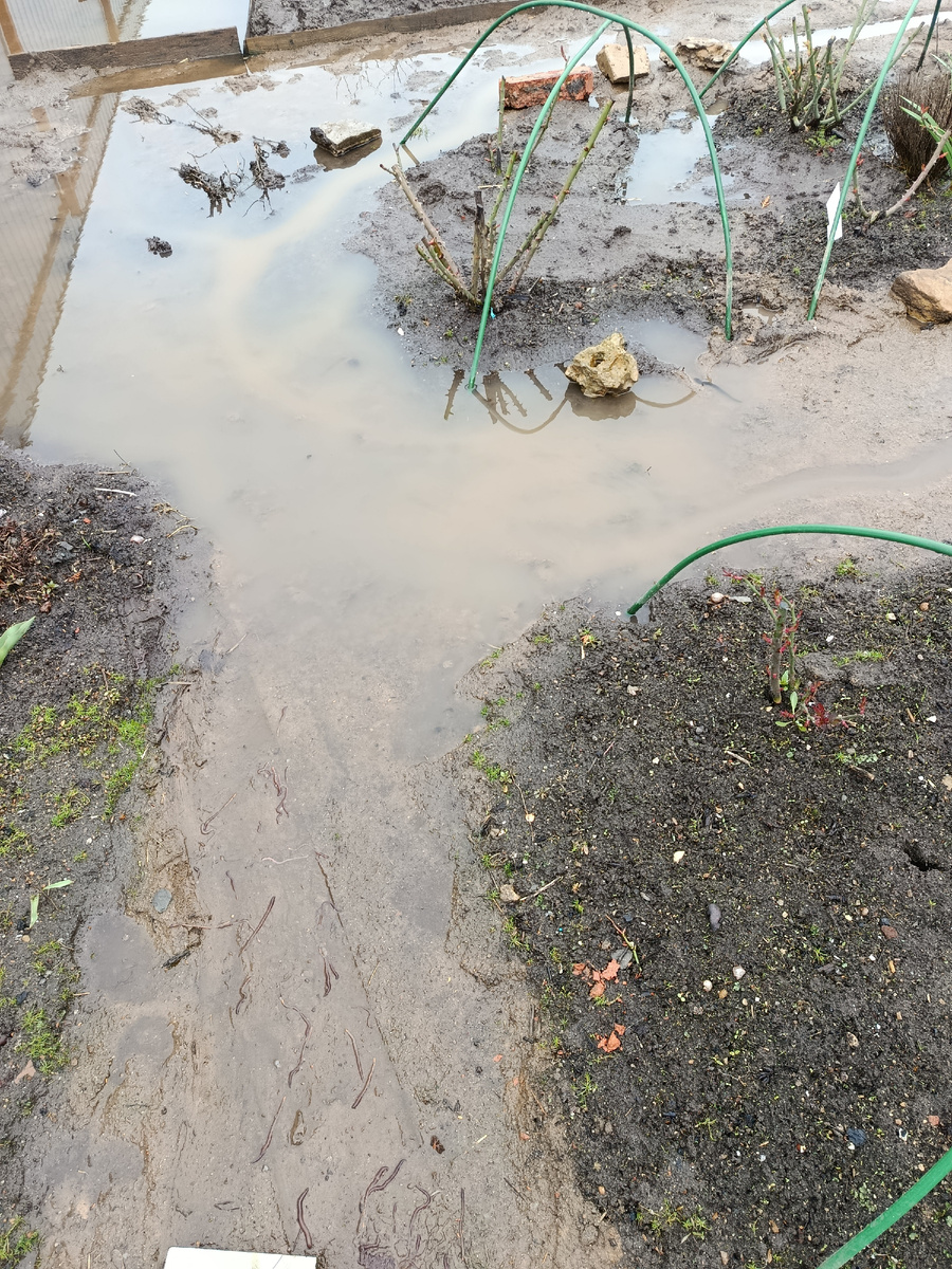 Утреннее фото 15.04. 