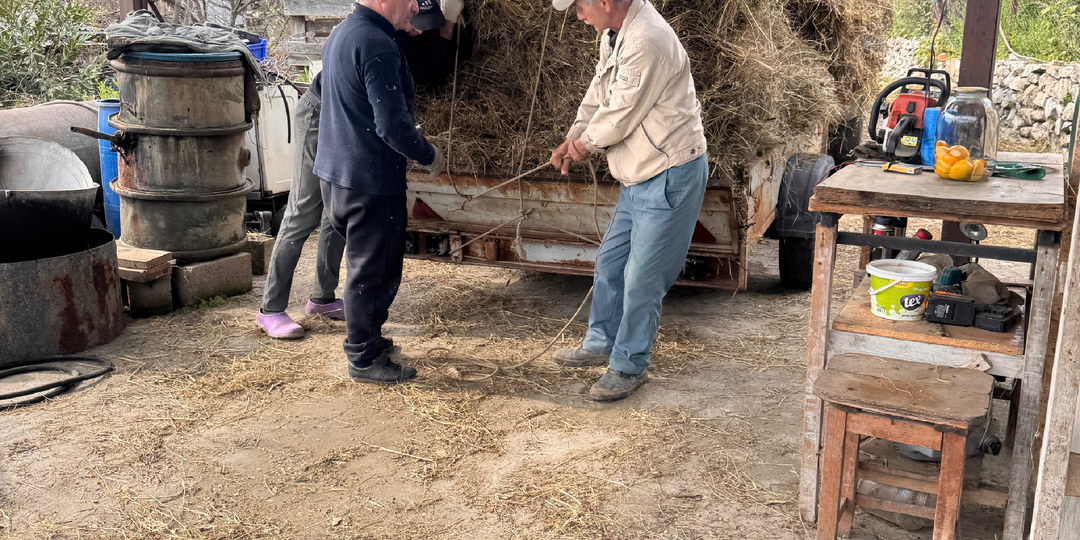 Отношения с нашими абхазскими соседями.