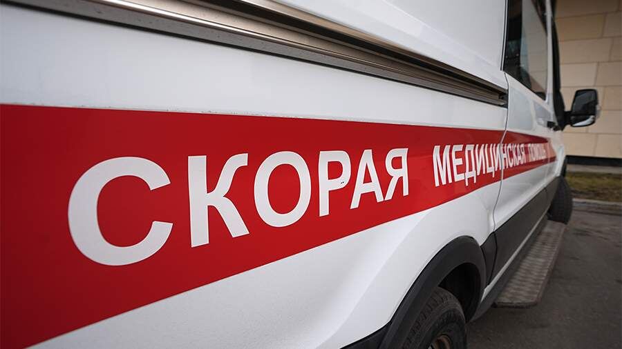    Фото: ИЗВЕСТИЯ/Павел Волков