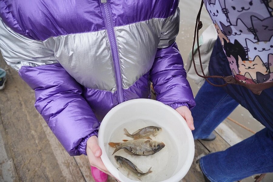    Фото: Администрация Волгоградской области