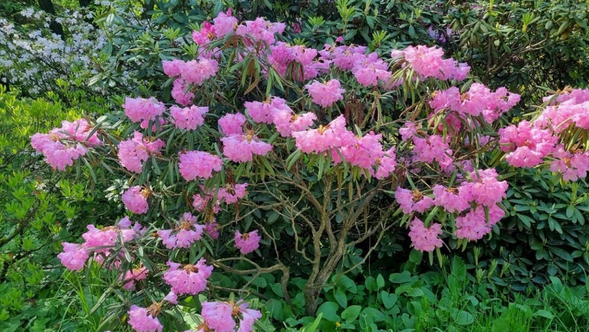    Фото Анастасии Дмитриевой