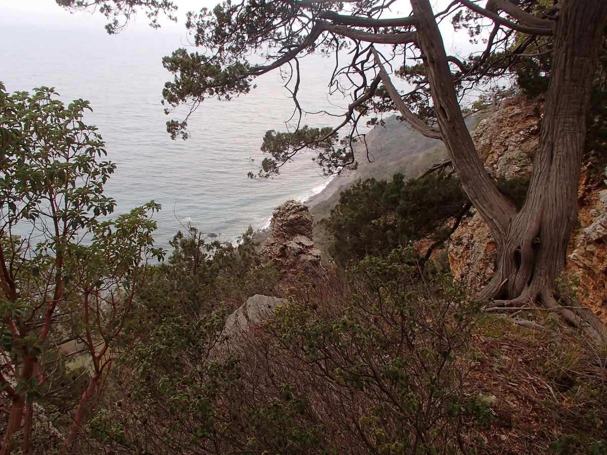 Заповедник "Мы Мартьян". Общий вид