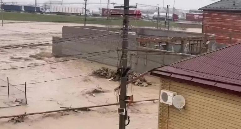    РИА «Новости»