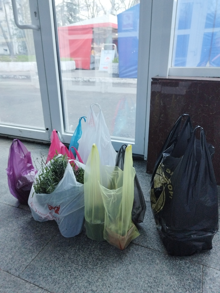 Покупки на ярмарке. Мои и мамы.