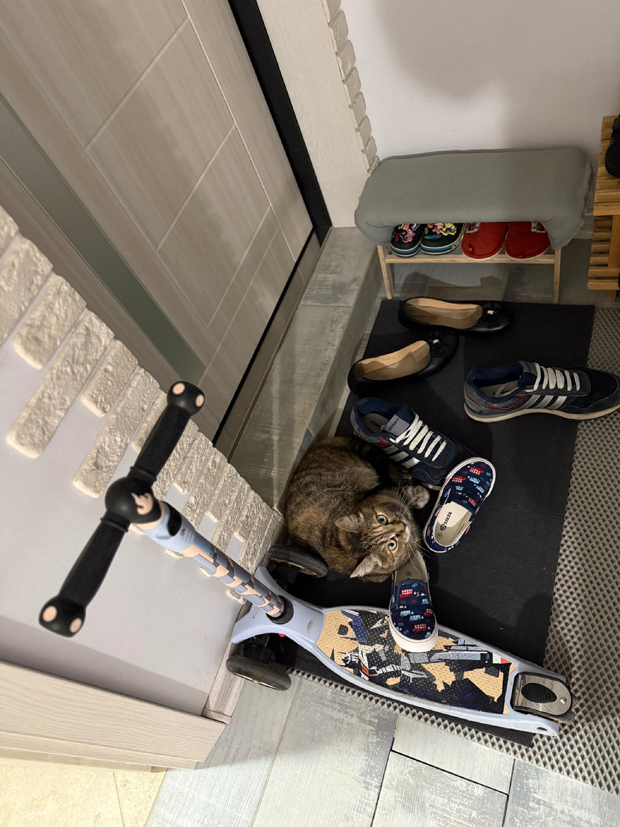 Три разных пары обуви, у каждого своя…..
и у каждого свой шаг, свой возраст, свой ритм. ♥️✨
А коридор — один на троих. И одна мама, которая ночью спотыкается об эти пары обуви и улыбается.
Потому что это — звук нашего дома 🧸

И пока я тут пыталась сделать «правильное» фото, пришла наша Муська и улеглась ровно между кроссовками и парусниками.
И я поняла: идеальный кадр — тот, в который вмешивается жизнь.
🌿🧡🐾
