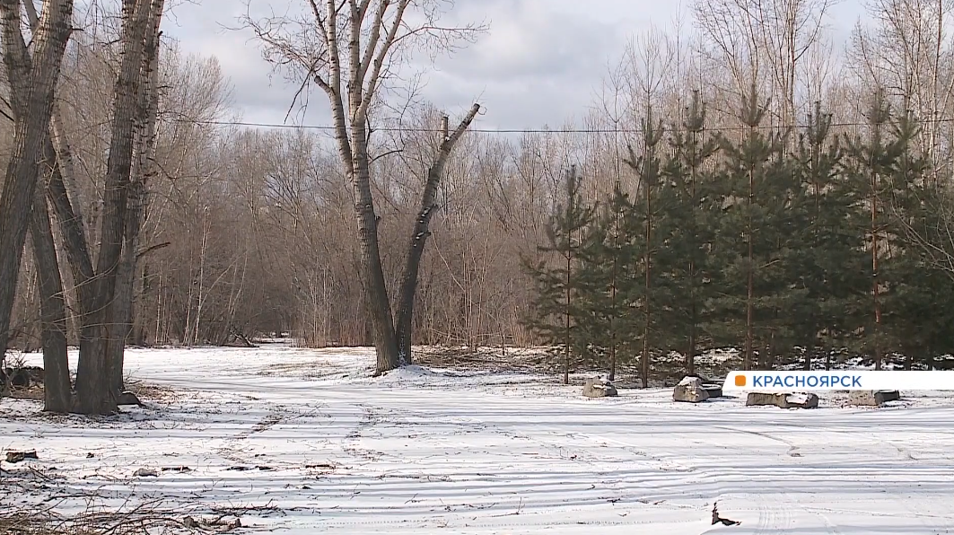     Красноярск и его окрестности засыпало апрельским снегом