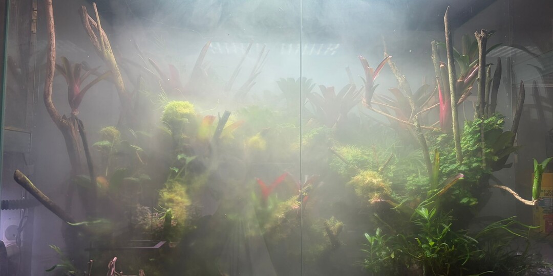 Думала — недвижимость, оказалось — рай для акваскейпера. Моя находка в Париже