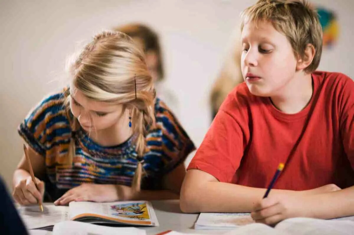 Вспомните школу: контрольная, паника, списывание, «а вдруг спросят то, что не учили»