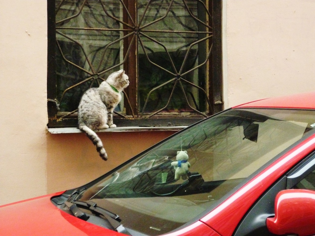 Фото автора