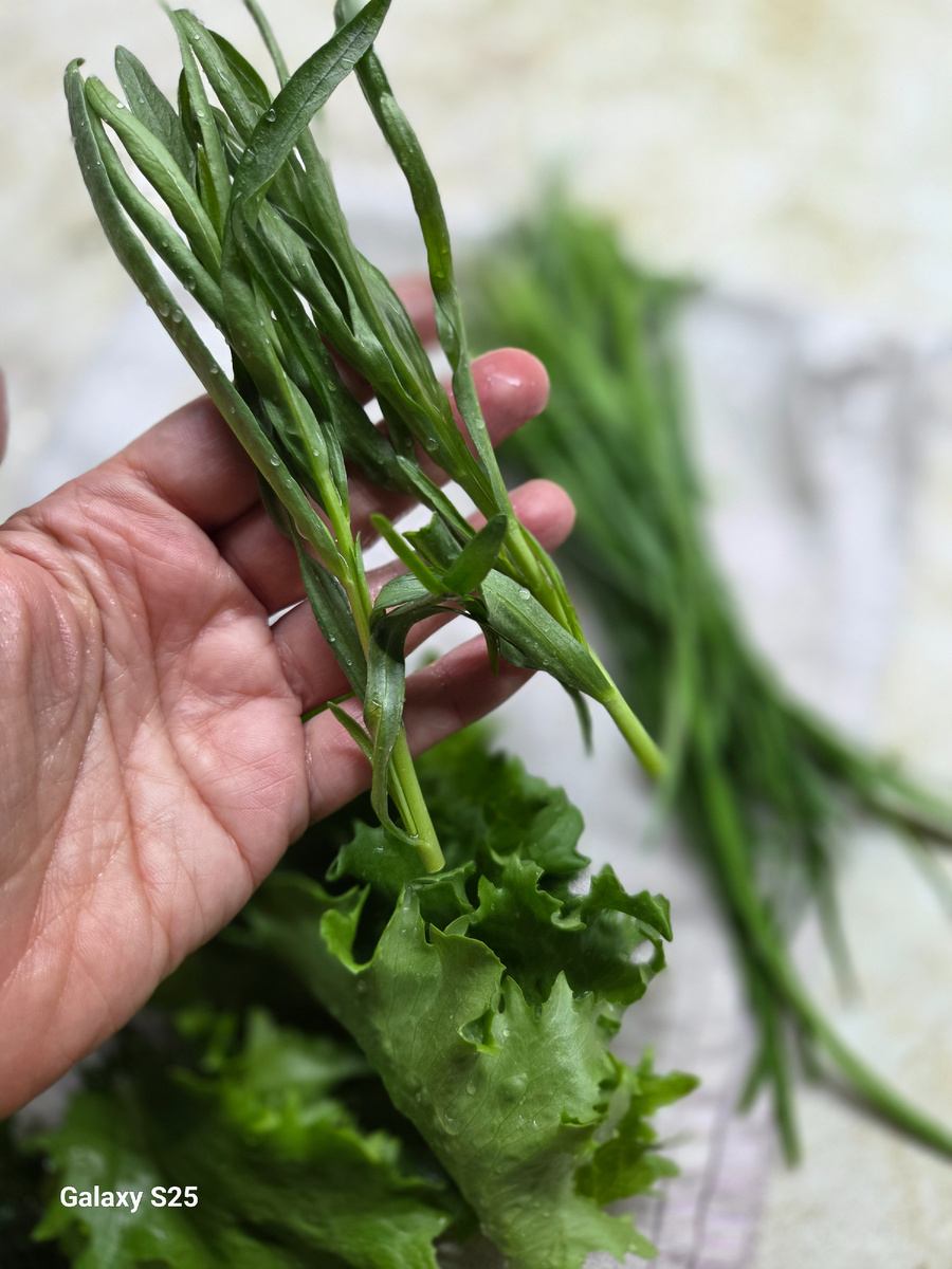 Тархун ароматный и сочный!