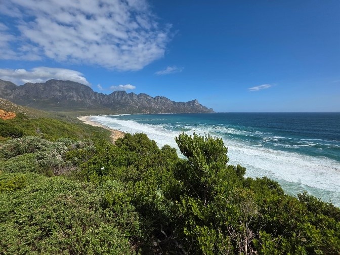 Из личного архива