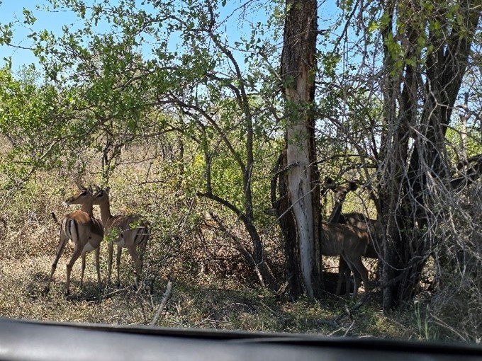 Из личного архива