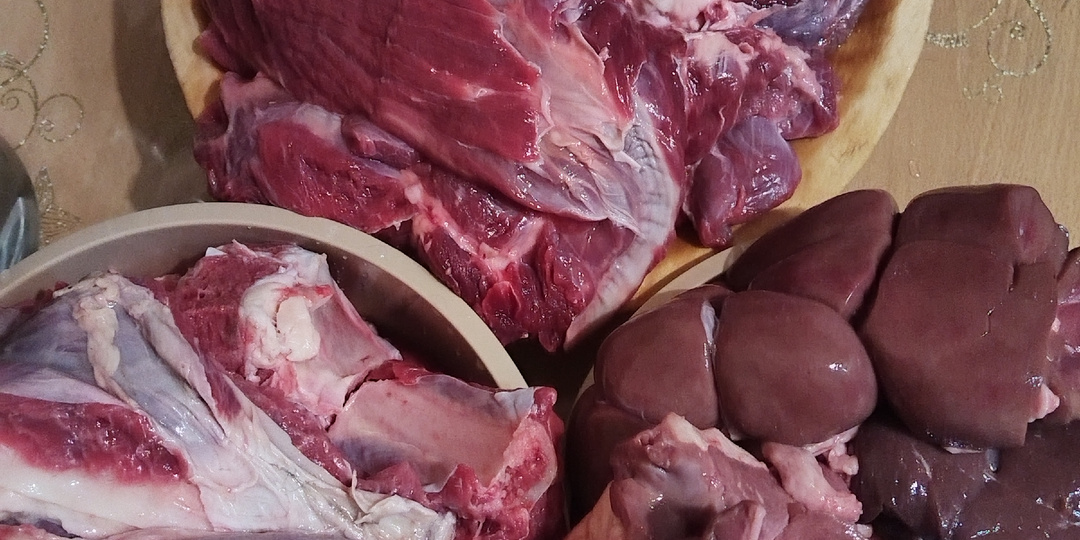 Только вернулись.