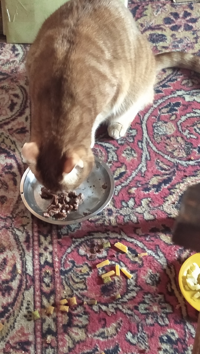 Личное фото