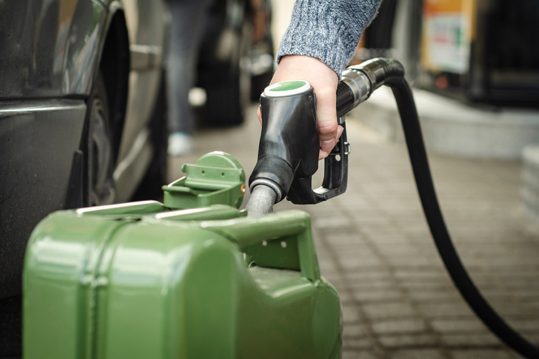 Фото: Shutterstock/FOTODOM