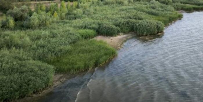 Иллюстрация: © «Панорама»