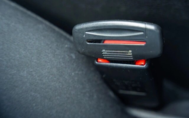 Фото: Tatiana Diuvbanova / Shutterstock / FOTODOM