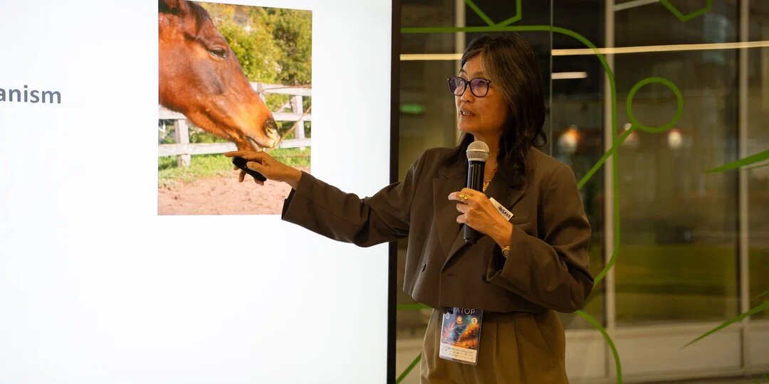 Вы тоже кормите лошадь дважды в день? Ошибка, которую допускают почти все