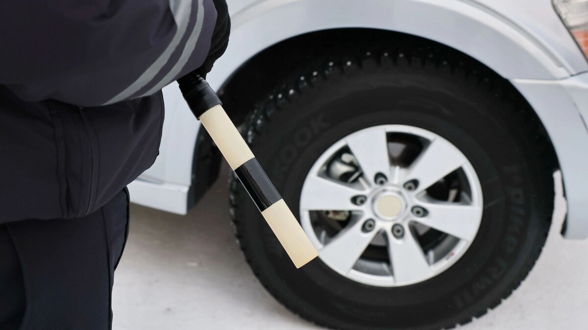    Фото: Андрей Ткачев/«Ямал-Медиа»