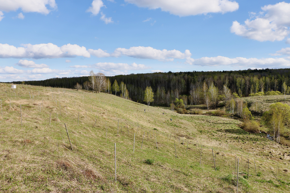 Фото: Александр Емельянов, Анна Доронина / ЗКК