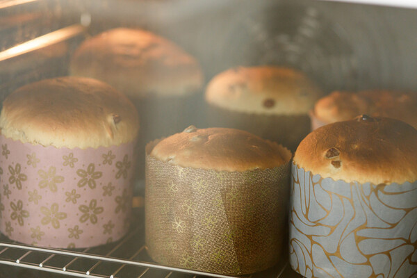 Shutterstock/FOTODOM   📷