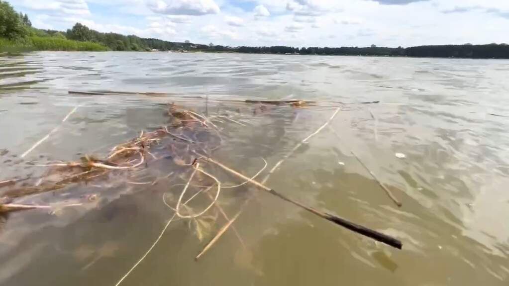    Фото: ГУ МЧС России по РО. Газета "Земля"