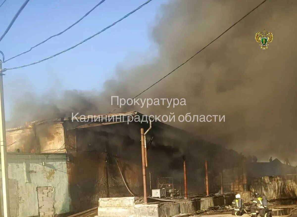    Соцсети / Прокуратура Калининградской области