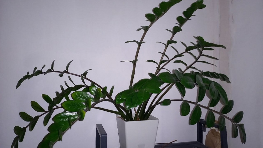    Фото Анастасии Дмитриевой