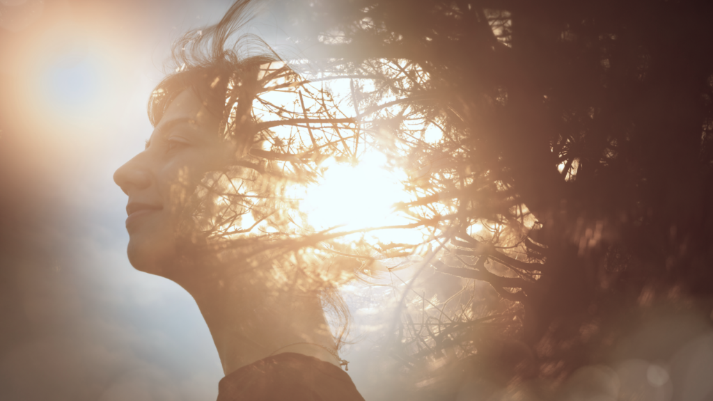    Фото: Shutterstock