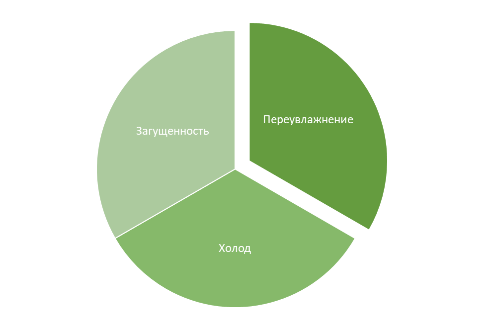 Три причины появления «черной ножки»