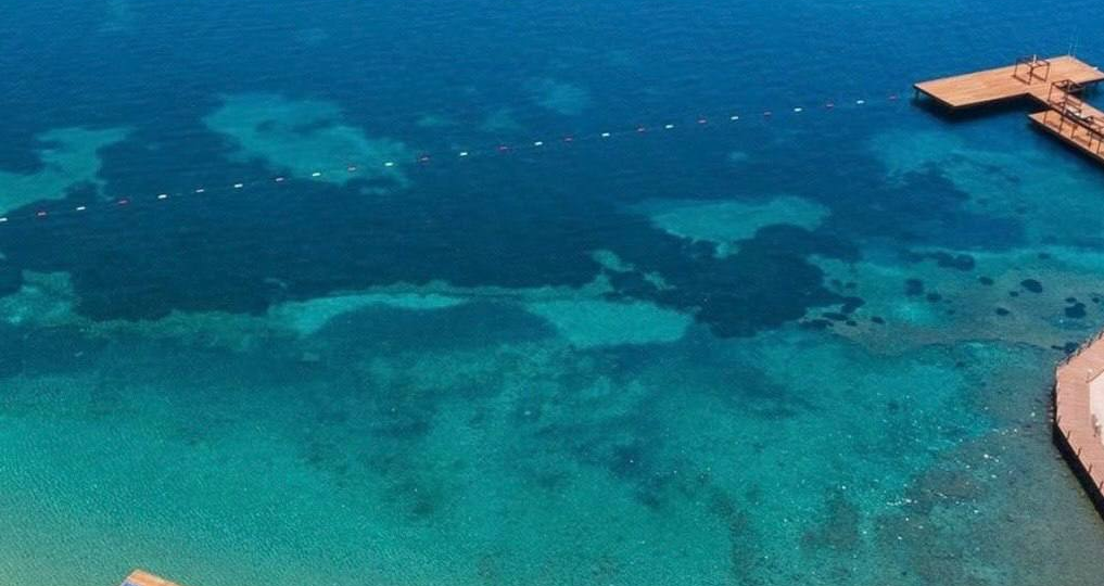 Yasmin Bodrum 5★ — зелёный рай с греческой душой на элитном курорте Турции