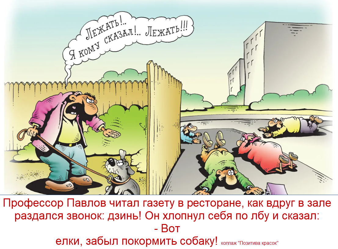 коллаж "Позитива красок", карикатура И. Кийко