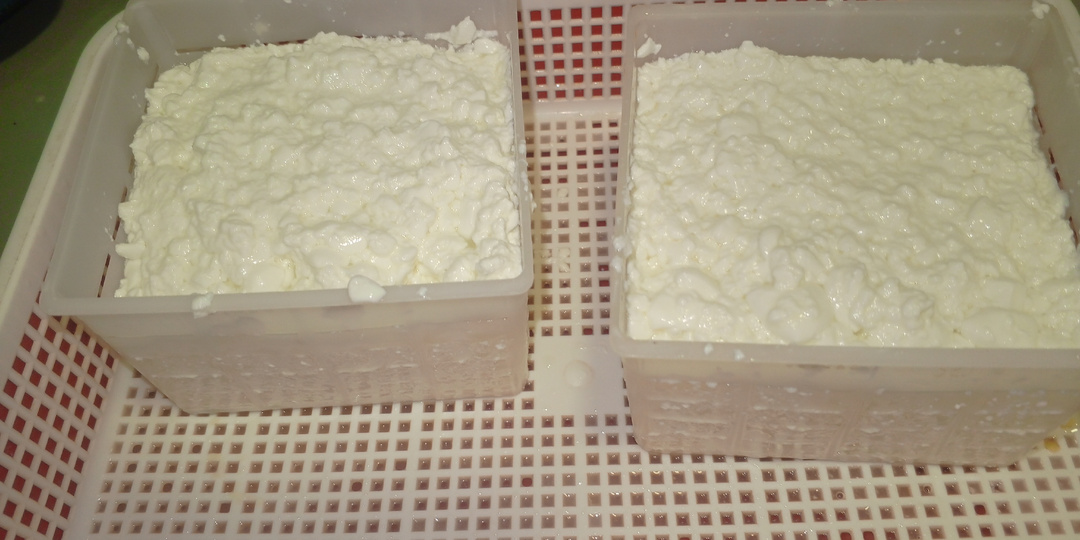 Опять на кухне.