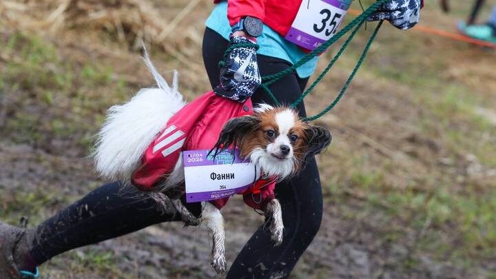  Фото: АГН Москва / Василий Кузьмиченок