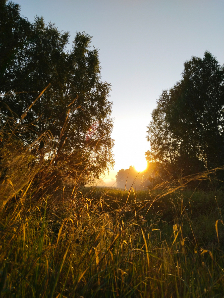 Рассвет над лагерем экспедиции. Черноозерье, июль 2025. Фото Татьяны Горбуновой