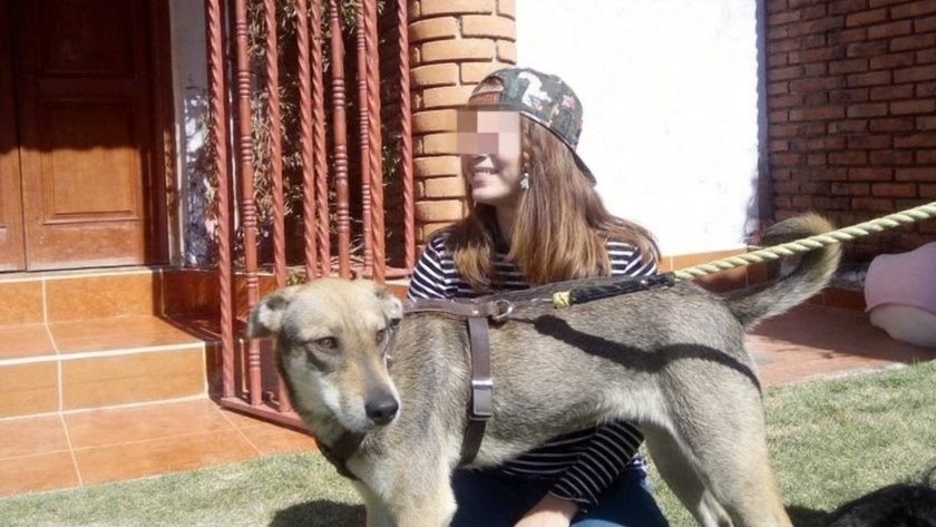    Обложка © Telegram / Mash