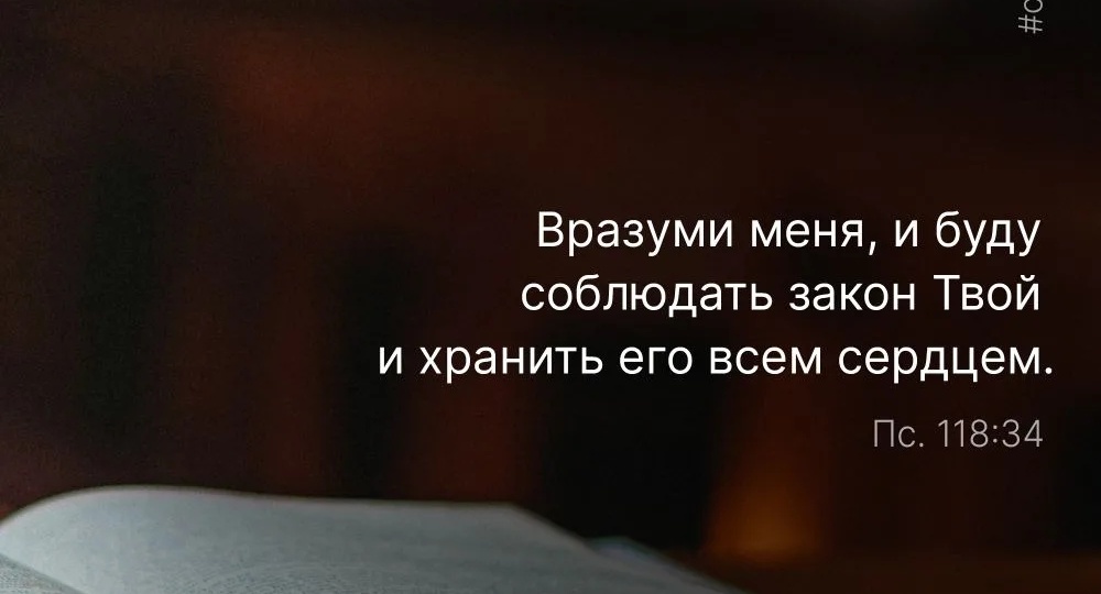 Приложите максимум усилий в деле познания Господа