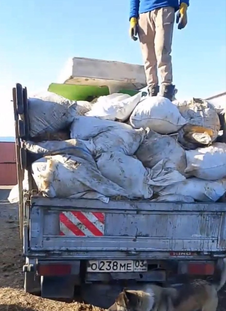 Можно радоваться любым событиям, мы радуемся, даже такому прозаичному событию, как вывоз мусора из приюта. Наши ребята умудрились загрузить грузовыик под Завязку, груцзовик аж присел.