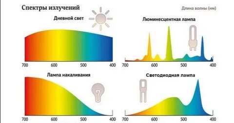 Разные типы ламп дают разный спектр и интенсивность света — это важно учитывать при расчёте освещения