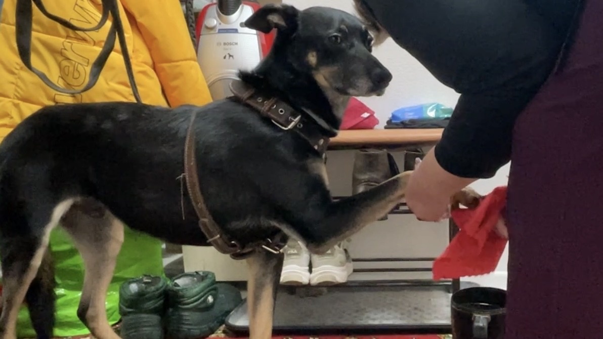 Ну вот, например, мне моют тут лапки. Мама моет. Этот кадр был сделан в один из первых дней, как я дома оказался! И так каждый раз! Правда... Сейчас мне Миша больше лапы моет 😅!