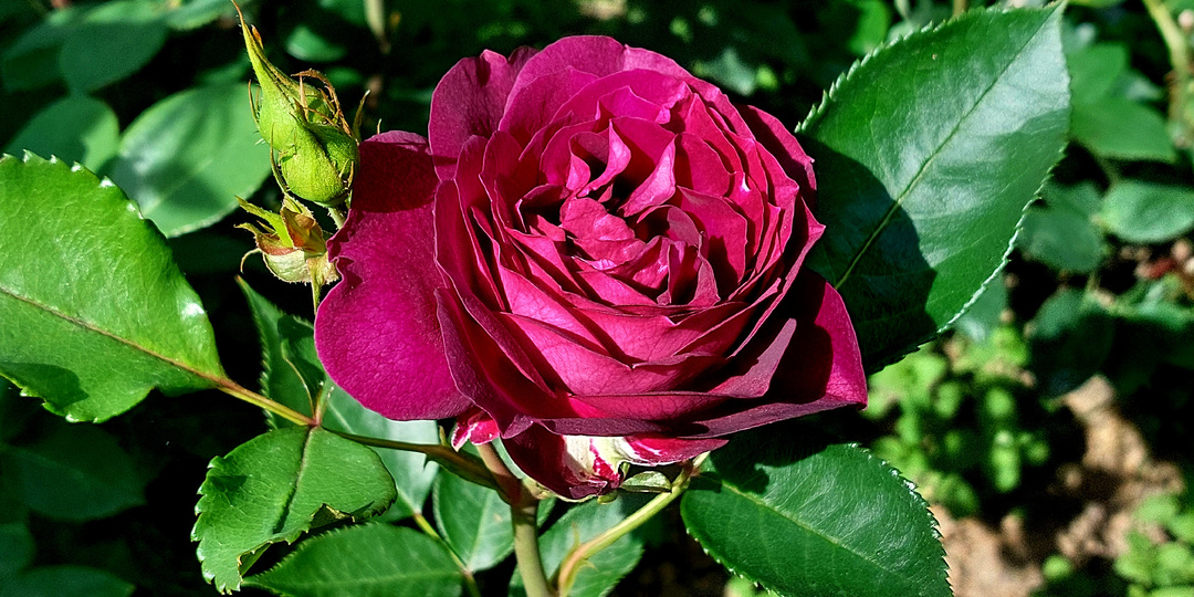 С Праздником Светлой Пасхи!