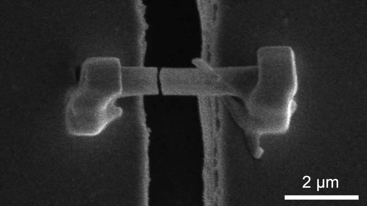 Учёные выяснили, что литиевые дендриты внутри аккумуляторов не мягкие, а хрупкие и острые  📷
