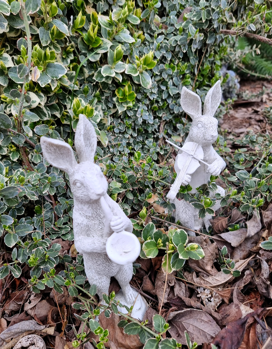 Веселый ансамбль притаился в зарослях бересклета.