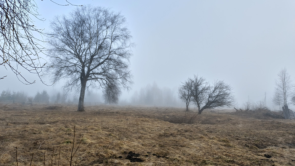 Вид немного жутковатый - не правда ли?