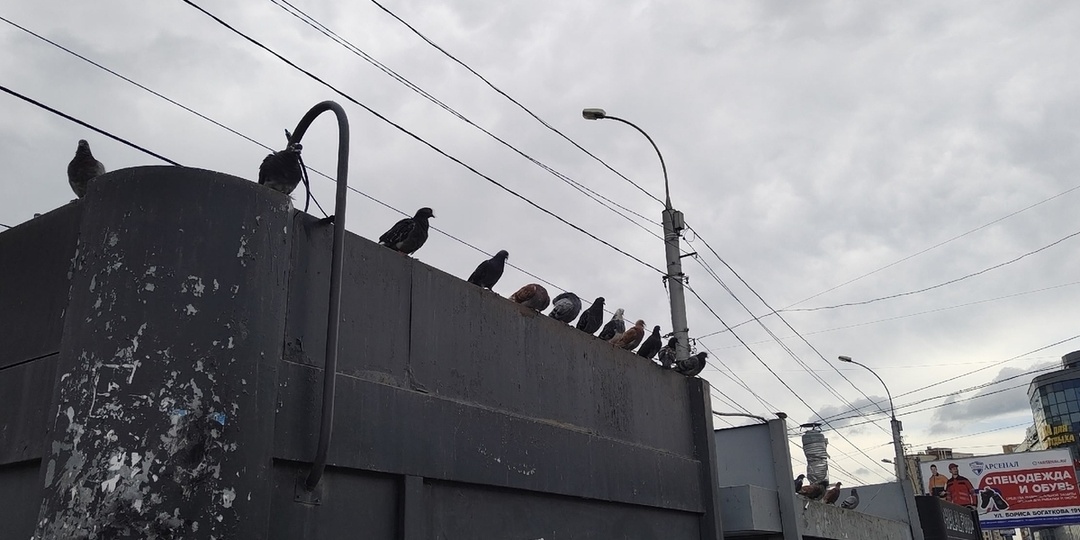 За минувшие 24 часа в Коми произошло восемь возгораний