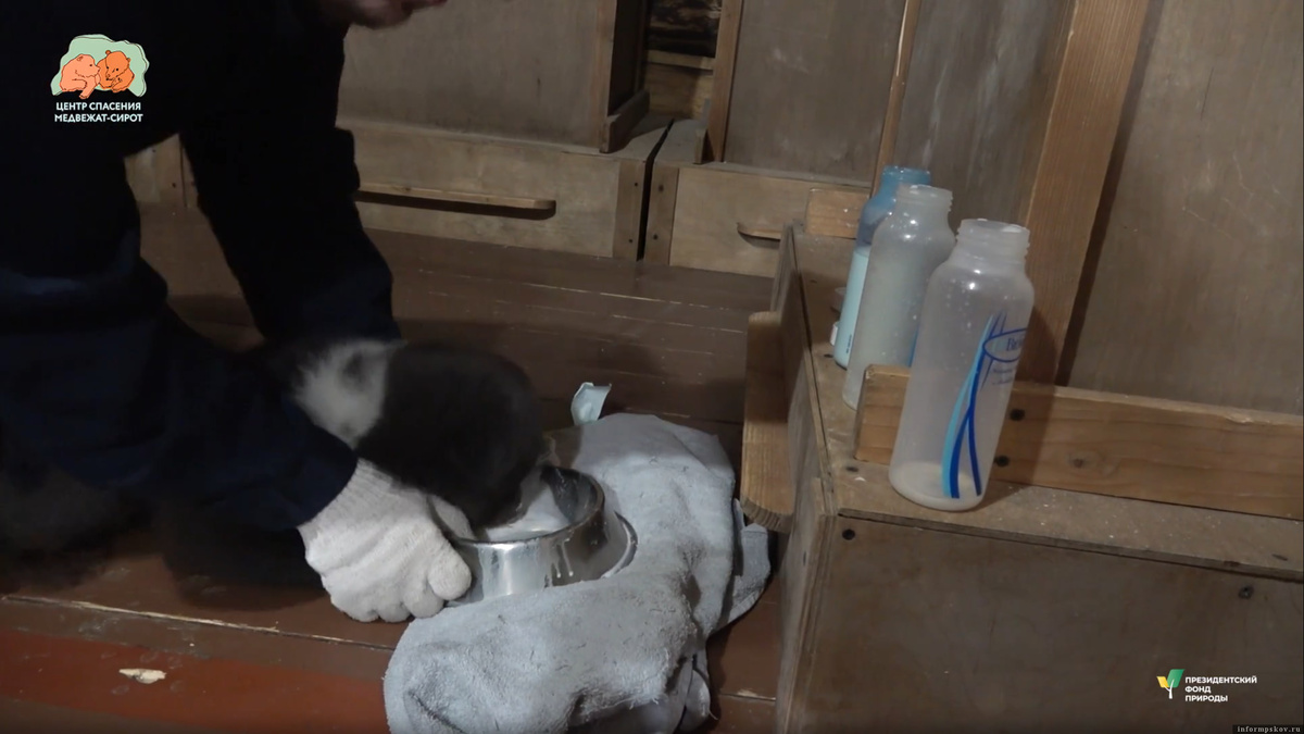 Скриншот видео центра