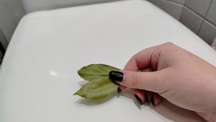    Фото progorod43.ru