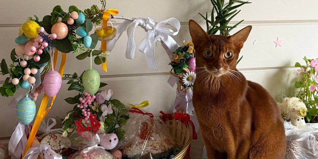 Кот в храме: пасхальные легенды и пушистые хранители традиций