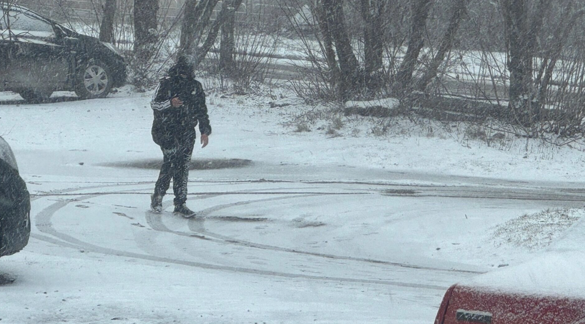 Фото из открытых источников 